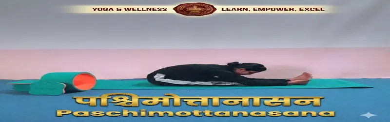 Online Yoga  School